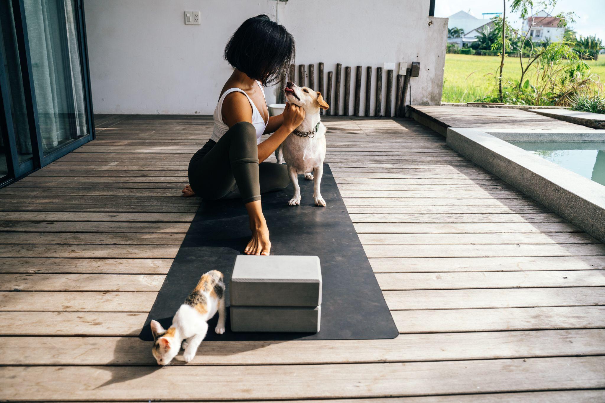 Yoga with pets