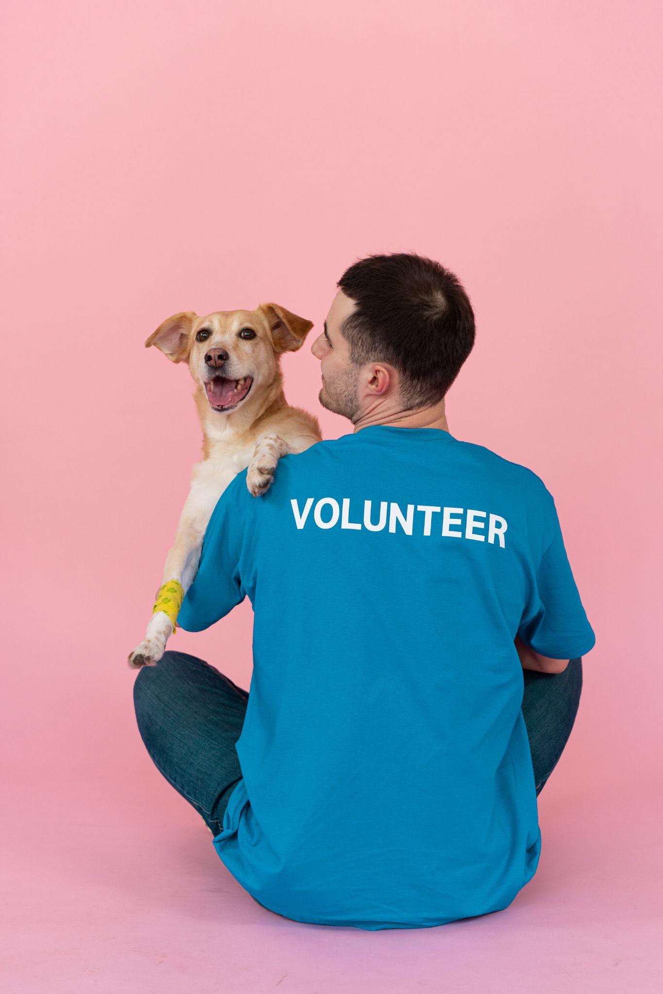 Volunteer dog