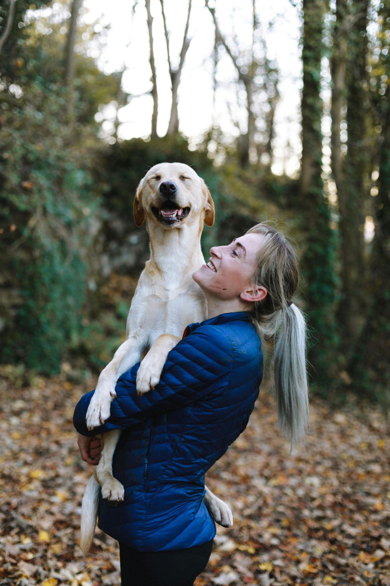 Dog in the forest