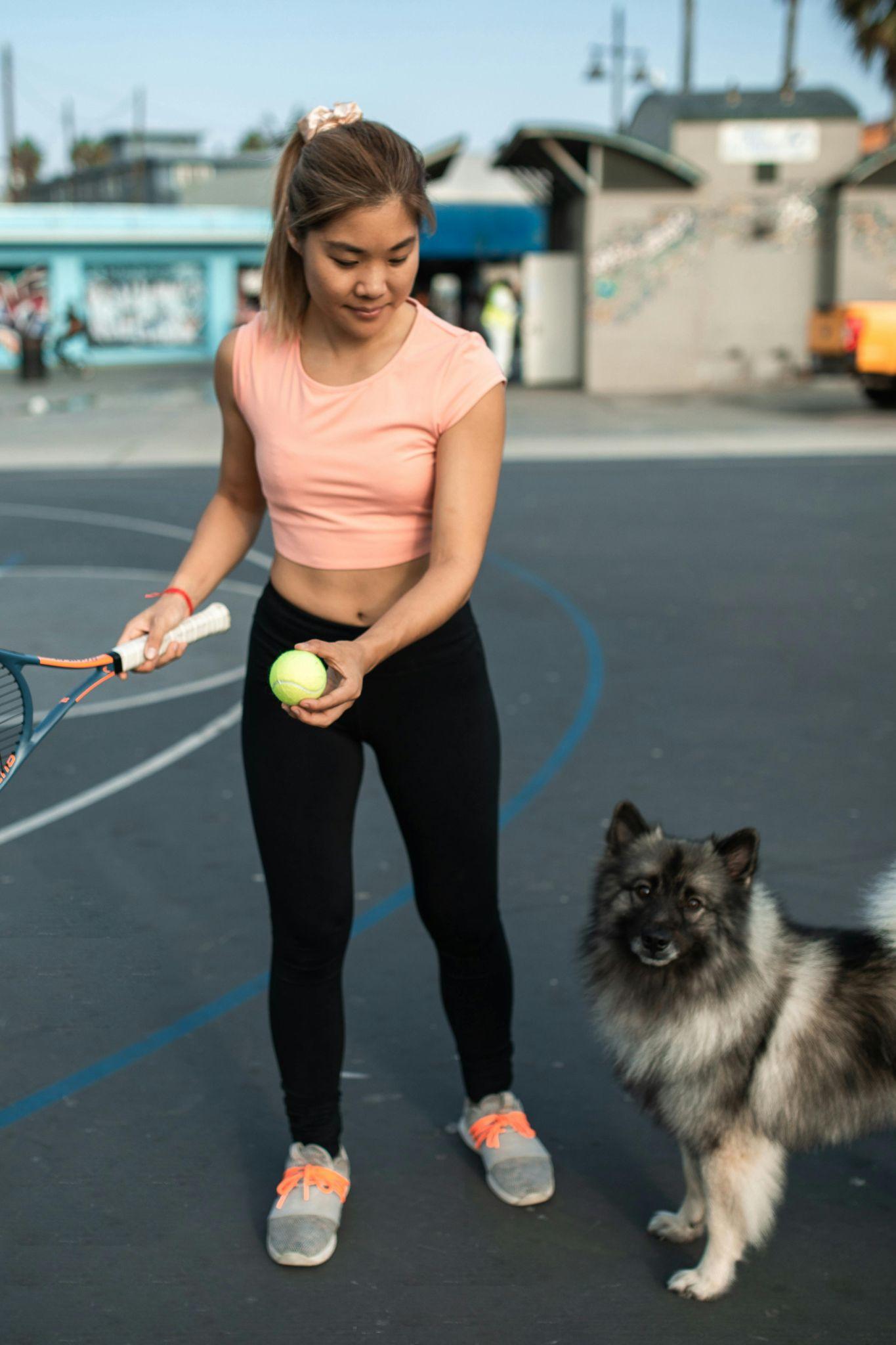 Tennis dog